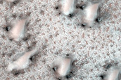 Dunes Dubbed Windy City