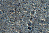 Area near Viking 1 Landing Site