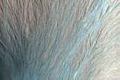Gully Frost Monitoring