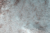 Terrain Sample