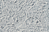 Candidate Recent Impact Site