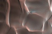 Dunes Dubbed Tleilax