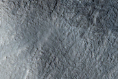 Gully Monitoring