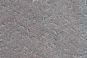 Terrain Sample