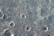 Sacra Dorsa