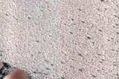 Dunes Dubbed Carlsbad