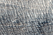 Terrain South of Biblis Patera