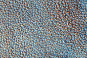 Terrain Sample