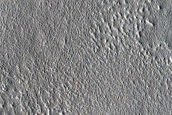 Impact Monitoring in Arcadia Planitia