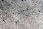 Terrain Sample