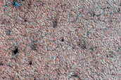 Terrain Sample