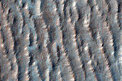 Dusty Dunes in Hellas Planitia