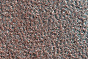 Terrain Sample