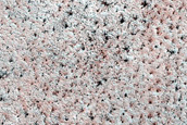 Terrain Sample