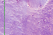 Kasei Valles Alluvial Fans and Scarp