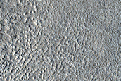 Albedo Monitoring in Arcadia Planitia