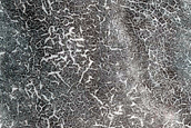 Northern Terrain Sample