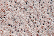 Terrain Sample