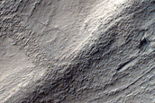Ridge Network in Hellas Planitia