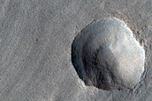 Young Impact on Layers in Protonilus Mensae