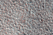 Terrain Sample