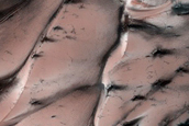 Dunes with Furrows Dubbed Lompoc