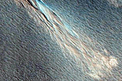 Gullies in Crater in Acidalia Planitia