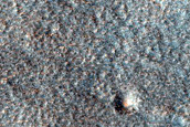 Terrain Sample