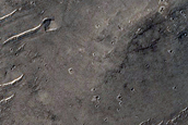 Fresh Impact Site