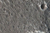 Adamas Labyrinthus