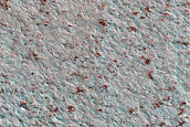 Terrain Sample