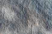 Terrain Sample