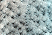 Terrain Sample