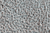 Terrain Sample