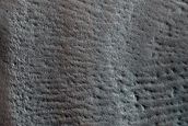 Terrain Sample