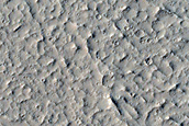 Candidate Recent Impact Site