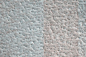 Terrain Sample