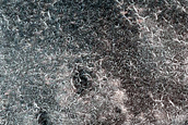 Terrain Sample