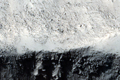 Terrain Sample