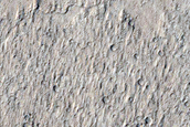Terrain Sample