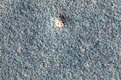 Terrain Sample