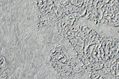 Flood Lava in Elysium Planitia