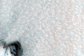 Dunes Dubbed Romo