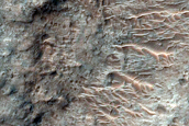 Dissected Bedrock in Tyrrhena Terra