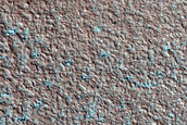 Terrain Sample