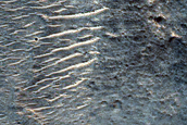 Chryse Planitia