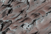 Seasonal Changes of Chasma Boreale Megadunes