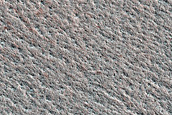 Terrain Sample