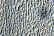Monitoring New Impact Site