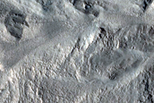Gullies on Western Wall of Bree Crater